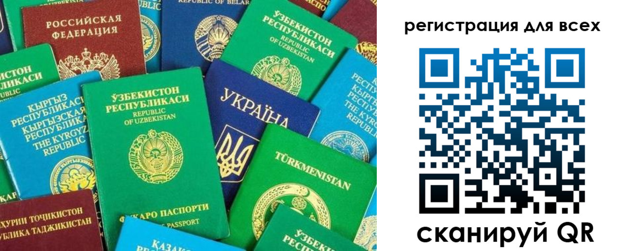 временная регистрация поиск в Владимирской области
